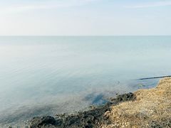 -泗洪洪泽湖湿地景区