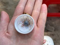 -红树林天天赶海