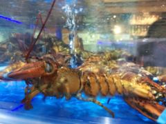 -盒马X会员店(王府井奥莱UP TOWN店)