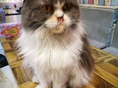 -小时光咖啡馆(开森度假森林店)