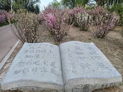 -黛秀湖公园