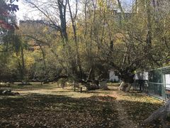 -宗角禄康公园