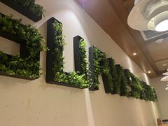 -管氏翅吧(国展店)