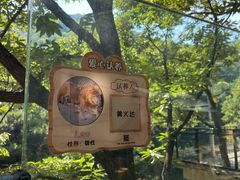 -大连森林动物园