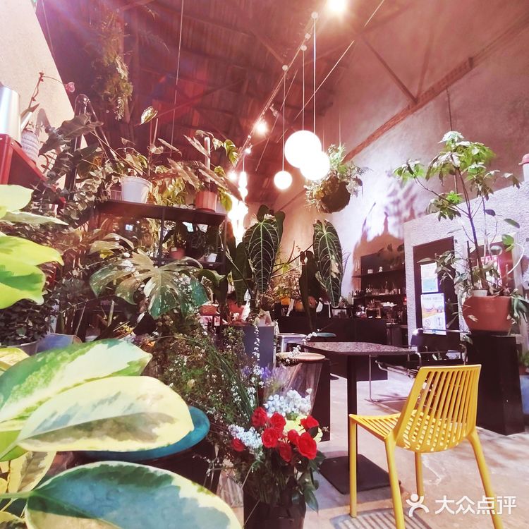 很有温度的一家小店，感觉进了植物馆了