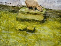 -沈阳森林动物园