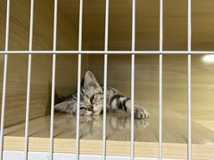 -三旗百汇商品城