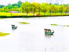 -白塘生态植物园