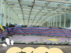 -阜外华中心血管病医院