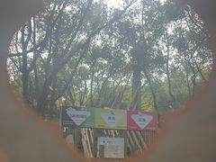 -同里国家湿地公园