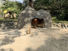 -上海野生动物园