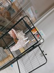 点击看大图 -镁连社·美联社