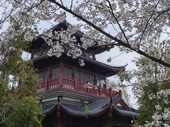 -堤角公园