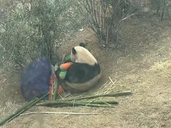 -大连森林动物园