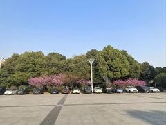 -新盈光·心院(嘉恒广场店)
