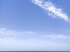 -广东惠东海龟国家级自然保护区
