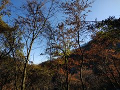 -少华山国家森林公园