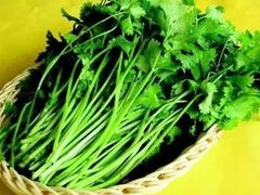 香菜-广味鲜潮汕牛肉火锅(延安三路店)