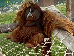 -西霞口神雕山野生动物世界