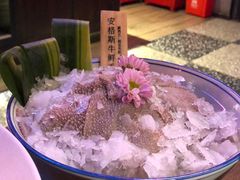 -九鼎轩脆毛肚火锅(三钢里店)