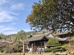-木子山庄·安徽省老字号·中国炖锅宴