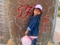 -晨汐石苑·清真菜农家院