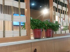 大堂-杨翔豆皮涮牛肚(华阳城店)