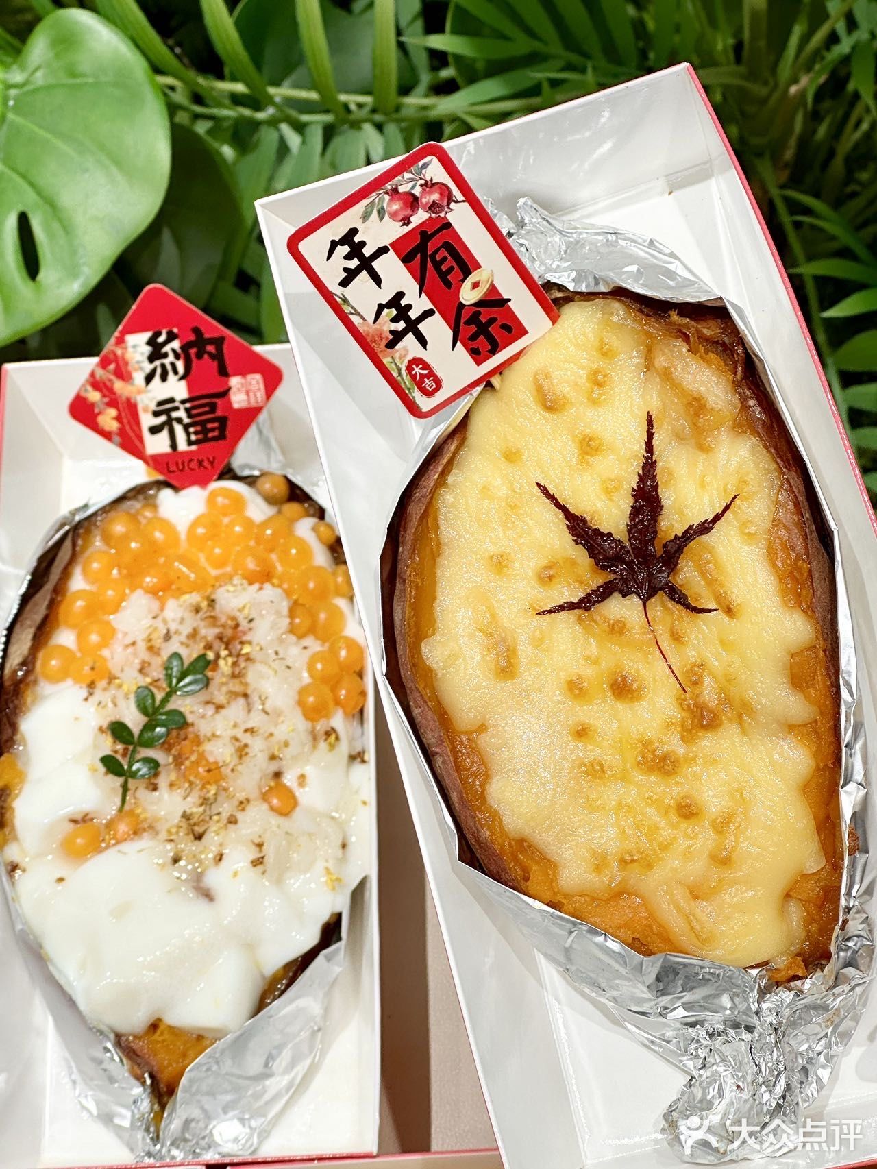 唯一缺点！郑州春天限定！