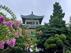 -东湖听涛景区