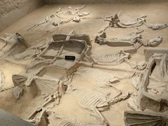 -洛阳周王城天子驾六博物馆