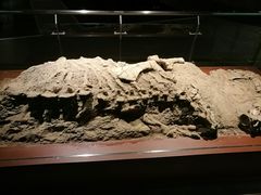 -世界恐龙谷景区