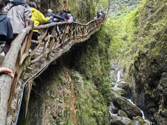 -鹿院坪生态旅游景区