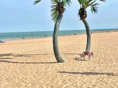 -日照灯塔风景区