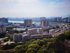 -福道