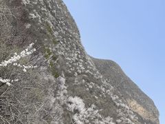 -青龙湖公园