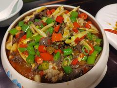 -陈麻婆豆腐总店