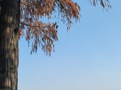 -东湖生态旅游风景区