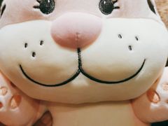 -火吧PTV聚会餐厅(10号店)