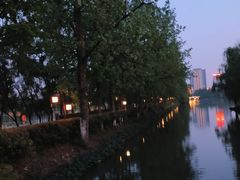 -洋湖国家湿地公园
