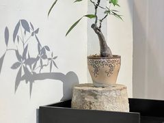 -成川茶店·潮汕工夫浓茶(万象店)