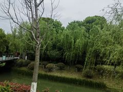 -桐乡植物园