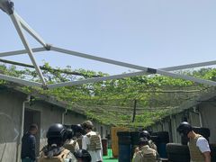 -东湖小天池真人CS彩弹野战基地