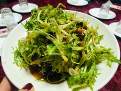 凉拌苦菊-馋嘴蛙火锅