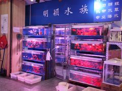 -宝鸡东道花鸟鱼虫市场(吉利花园商场店)