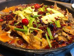 -老板恋上鱼(恒隆广场店)