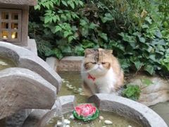 -威高民俗文化邨
