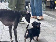 -PETIT PARIS 小巴黎(花园道店)