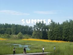 -溱湖国家湿地公园