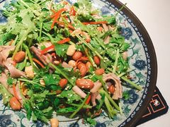 芫茜香油捞猪肚-长安·大茶饭