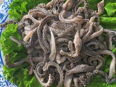 -协顺园回头馆(南顺城路店)